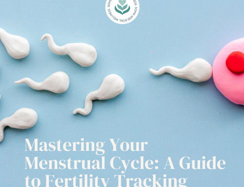 Mastering Your Menstrual Cycle: A Guide to Fertility Tracking