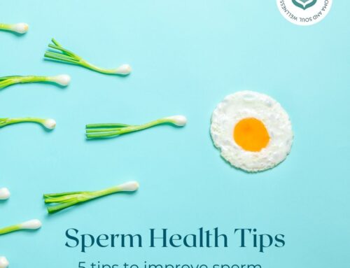 Sperm Health: How to Optimize Male Fertility